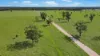 " Four Bar", Dalby, Qld 4405-Image
