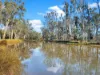 " Four Bar", Dalby, Qld 4405-Image