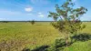 " Four Bar", Dalby, Qld 4405-Image