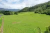Gillies Range Road, Little Mulgrave, Qld 4865