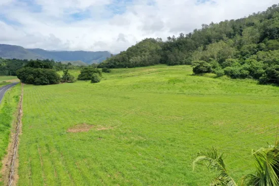 Gillies Range Road, Little Mulgrave, Qld 4865