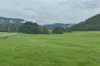 Gillies Range Road, Little Mulgrave, Qld 4865-Image