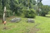 Gillies Range Road, Little Mulgrave, Qld 4865-Image