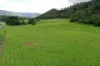 Gillies Range Road, Little Mulgrave, Qld 4865-Image
