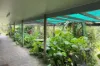 Gillies Range Road, Little Mulgrave, Qld 4865-Image