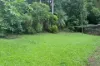Gillies Range Road, Little Mulgrave, Qld 4865-Image