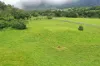 Gillies Range Road, Little Mulgrave, Qld 4865-Image