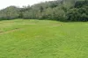 Gillies Range Road, Little Mulgrave, Qld 4865-Image