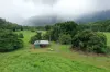 Gillies Range Road, Little Mulgrave, Qld 4865-Image
