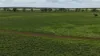 " Glenalba ", Mitchell, Qld 4465