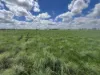 " Glenalba ", Mitchell, Qld 4465-Image