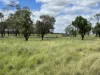 " Glenalba ", Mitchell, Qld 4465-Image