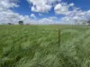 " Glenalba ", Mitchell, Qld 4465-Image