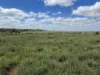 " Glenalba ", Mitchell, Qld 4465-Image