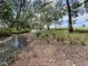 " Glenalba ", Mitchell, Qld 4465-Image