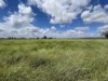 " Glenalba ", Mitchell, Qld 4465-Image