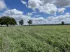 " Glenalba ", Mitchell, Qld 4465-Image