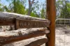 'Googoorewon'/56, Stonehenge QLD 4357-Image