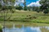 , Goomeribong QLD 4601-Image