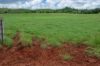 , Goomeribong QLD 4601-Image