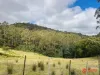 Harveys Road, North Motton, Tas 7315