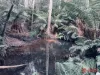 Harveys Road, North Motton, Tas 7315-Image