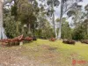 Harveys Road, North Motton, Tas 7315-Image
