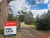 Harveys Road, North Motton, Tas 7315-Image
