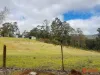 Harveys Road, North Motton, Tas 7315-Image