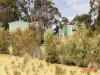 Harveys Road, North Motton, Tas 7315-Image