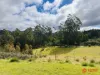 Harveys Road, North Motton, Tas 7315-Image