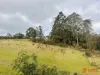 Harveys Road, North Motton, Tas 7315-Image
