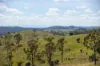 'Hutton' 295 Schnitzerling Road, Thane, Qld 4370