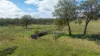 'Hutton' 295 Schnitzerling Road, Thane, Qld 4370-Image