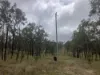 'Hutton' 295 Schnitzerling Road, Thane, Qld 4370-Image