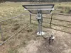 'Hutton' 295 Schnitzerling Road, Thane, Qld 4370-Image