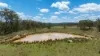 'Hutton' 295 Schnitzerling Road, Thane, Qld 4370-Image