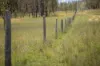 'Hutton' 570 Hazeldene Road, Thanes Creek QLD 4370-Image