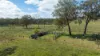 'Hutton' 570 Hazeldene Road, Thanes Creek QLD 4370-Image