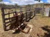 'Hutton' 570 Hazeldene Road, Thanes Creek QLD 4370-Image