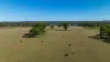 , INVERELL NSW 2360-Image