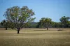 , INVERELL NSW 2360-Image