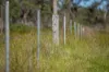 , INVERELL NSW 2360-Image