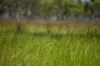 , INVERELL NSW 2360-Image