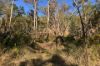 "Jalna" 266 Childs Road, Boyne Valley QLD 4680-Image