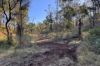 "Jalna" 266 Childs Road, Boyne Valley QLD 4680-Image