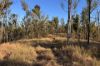 "Jalna" 266 Childs Road, Boyne Valley QLD 4680-Image