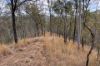 "Jalna" 266 Childs Road, Boyne Valley QLD 4680-Image