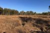 "Jalna" 266 Childs Road, Boyne Valley QLD 4680-Image