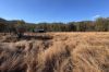 "Jalna" 266 Childs Road, Boyne Valley QLD 4680-Image